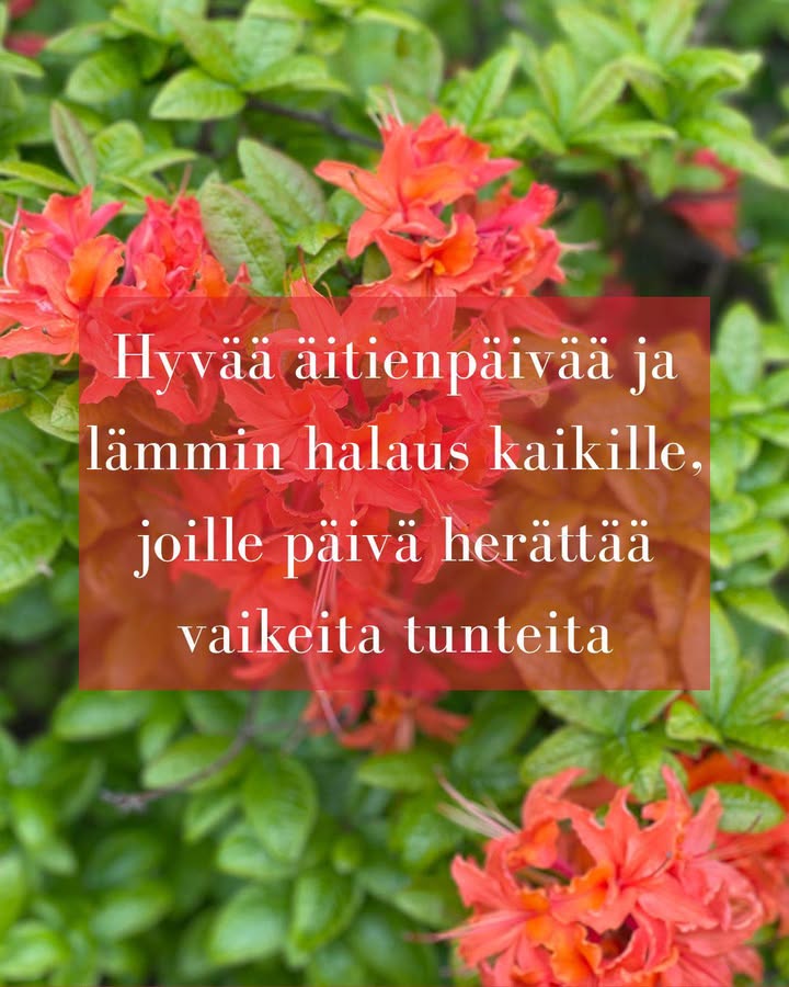 Femino